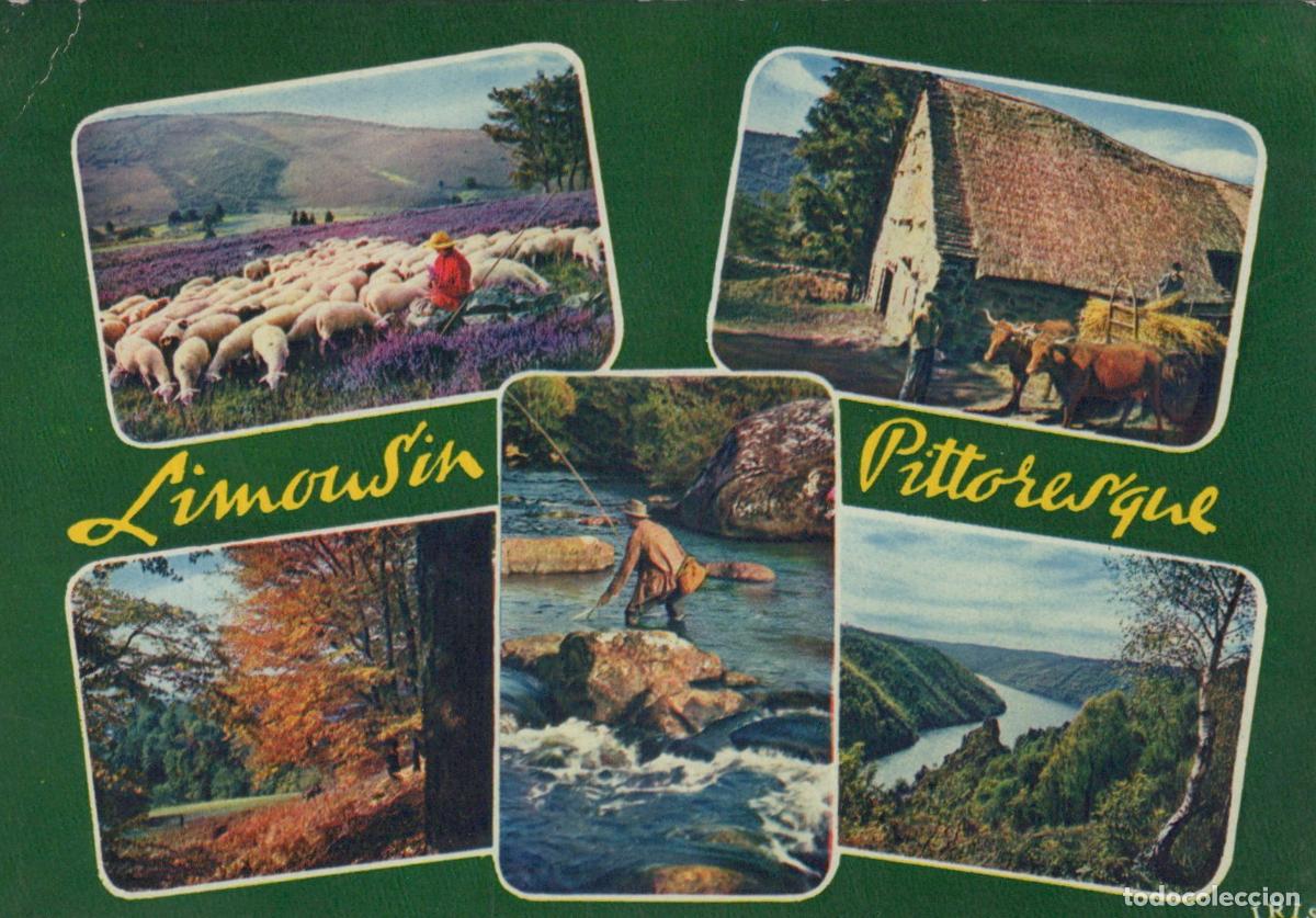Postais: France Limousin Paysages Pittoresques Vie Rurale Bergers et P&ecirc;cheurs *YAF321