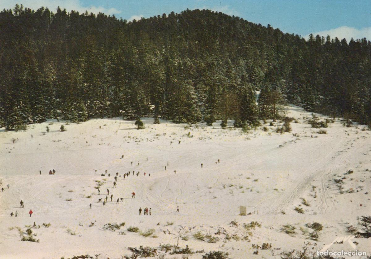 Postais: France Payolle Col D Aspin Paysage Montagnard Enneig&eacute; Skieurs For&ecirc;t *YAF337
