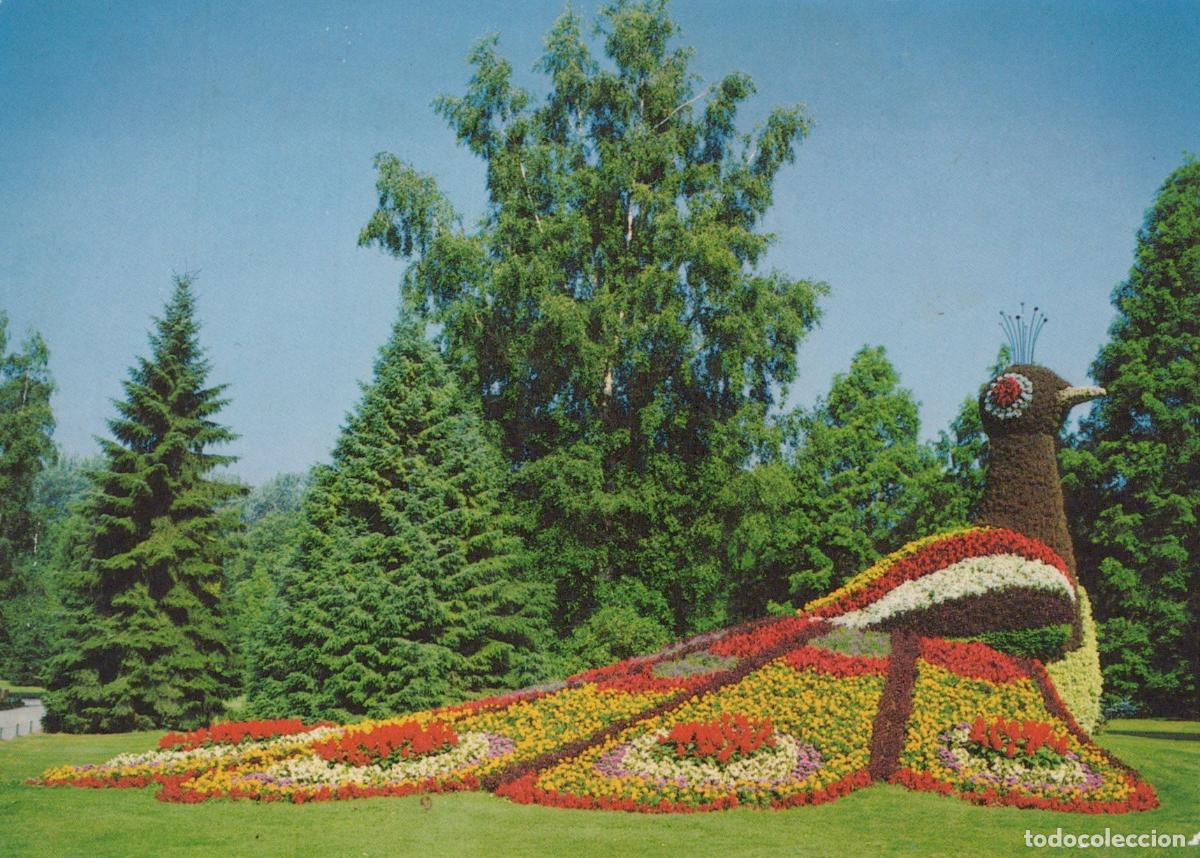 Cartoline: Deutschland Konstanz Insel Mainau Blumenpfau Gartenkunst Unposted *YAF350