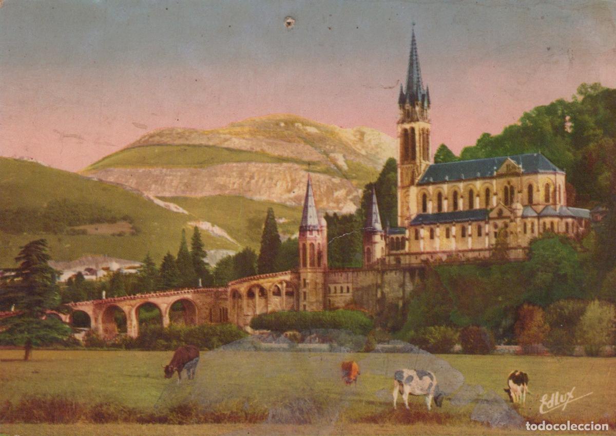 Postais: France Lourdes Basilique du Rosaire Pic du Jer Vaches Unposted *YAF569