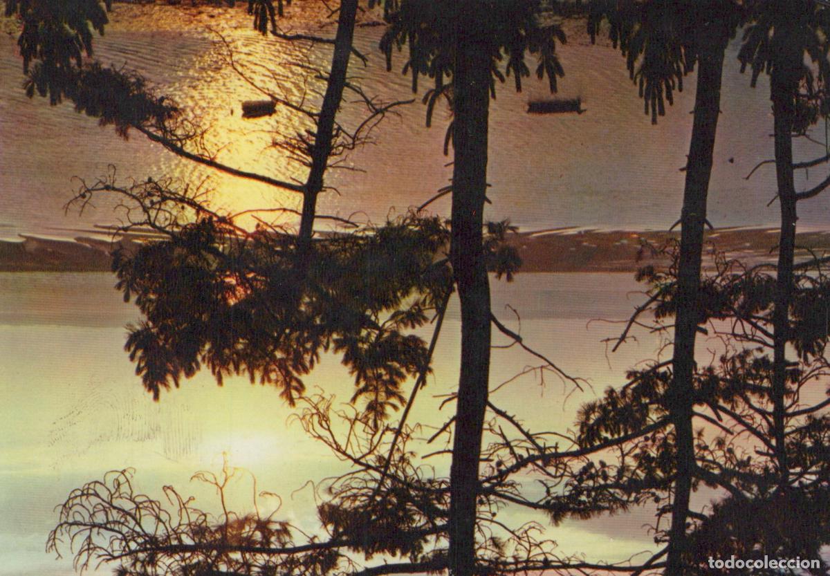 Postais: France Paysage Marin Coucher de Soleil Arbres *YAF365