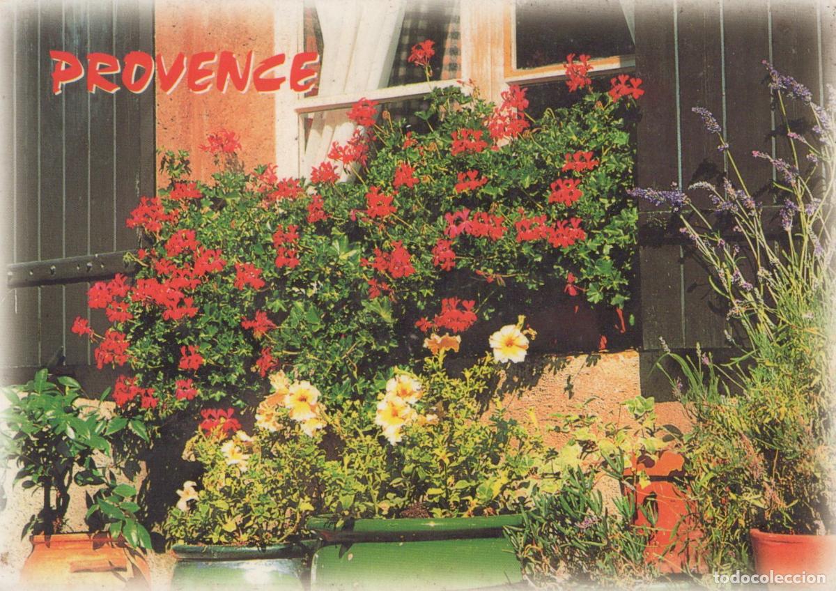 Postais: France Manosque Fen&ecirc;tre Fleurie de G&eacute;raniums et Lavande Architecture *YAF594
