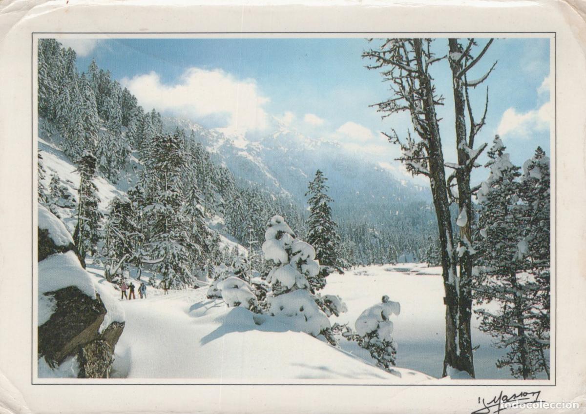 Postales: France Cauterets Paysage Hivernal Enneig&eacute; Ski au Cayan *YAF654
