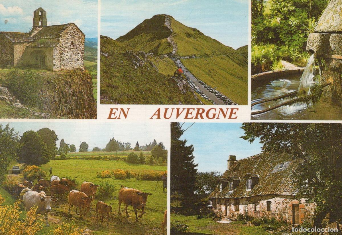 Postkarten: France Auvergne Paysages Vari&eacute;s &Eacute;glise Montagne Fontaine Vaches Ferme *YAF709