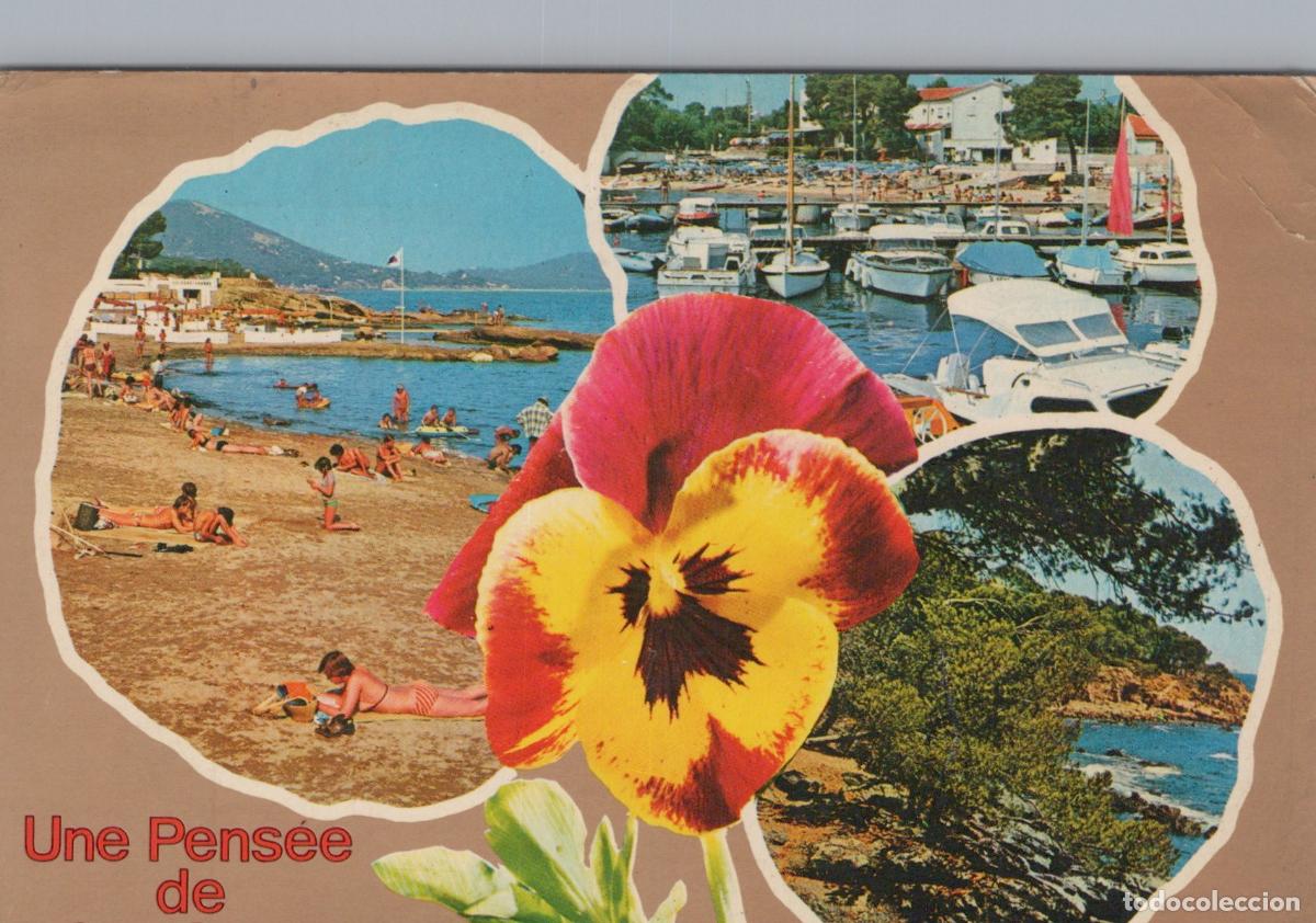 Postales: France Saint Rapha&euml;l Plage Port C&ocirc;te M&eacute;diterran&eacute;e Pens&eacute;e *YAF501