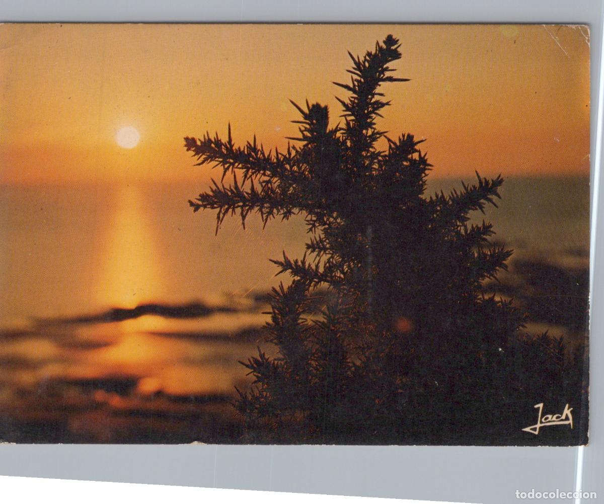 Postales: France Bretagne C&ocirc;te Bretonne Coucher de Soleil Paysage C&ocirc;tier *YAF510