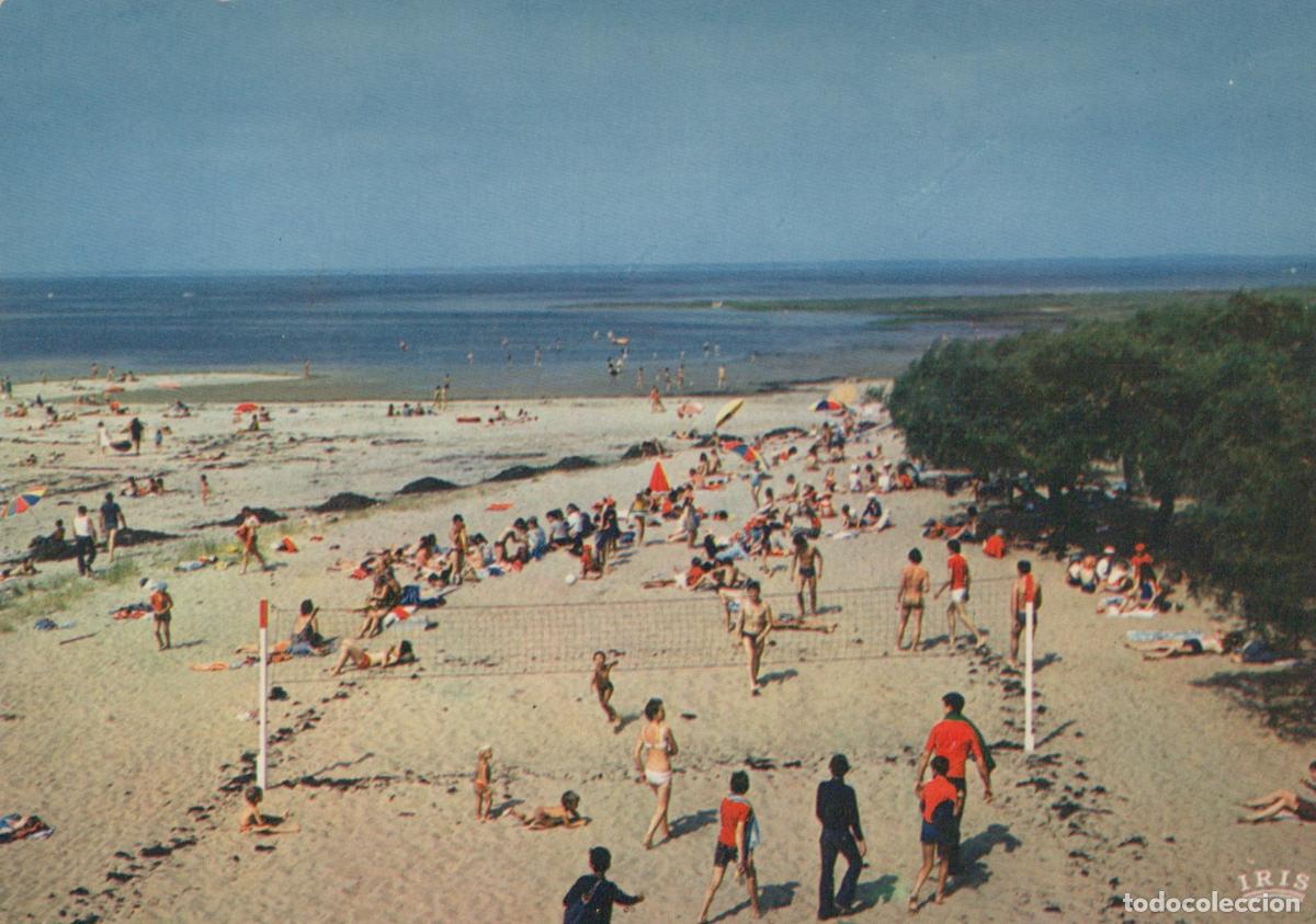 Postcards: France Arcachon Basin Beach Summer *YAF808
