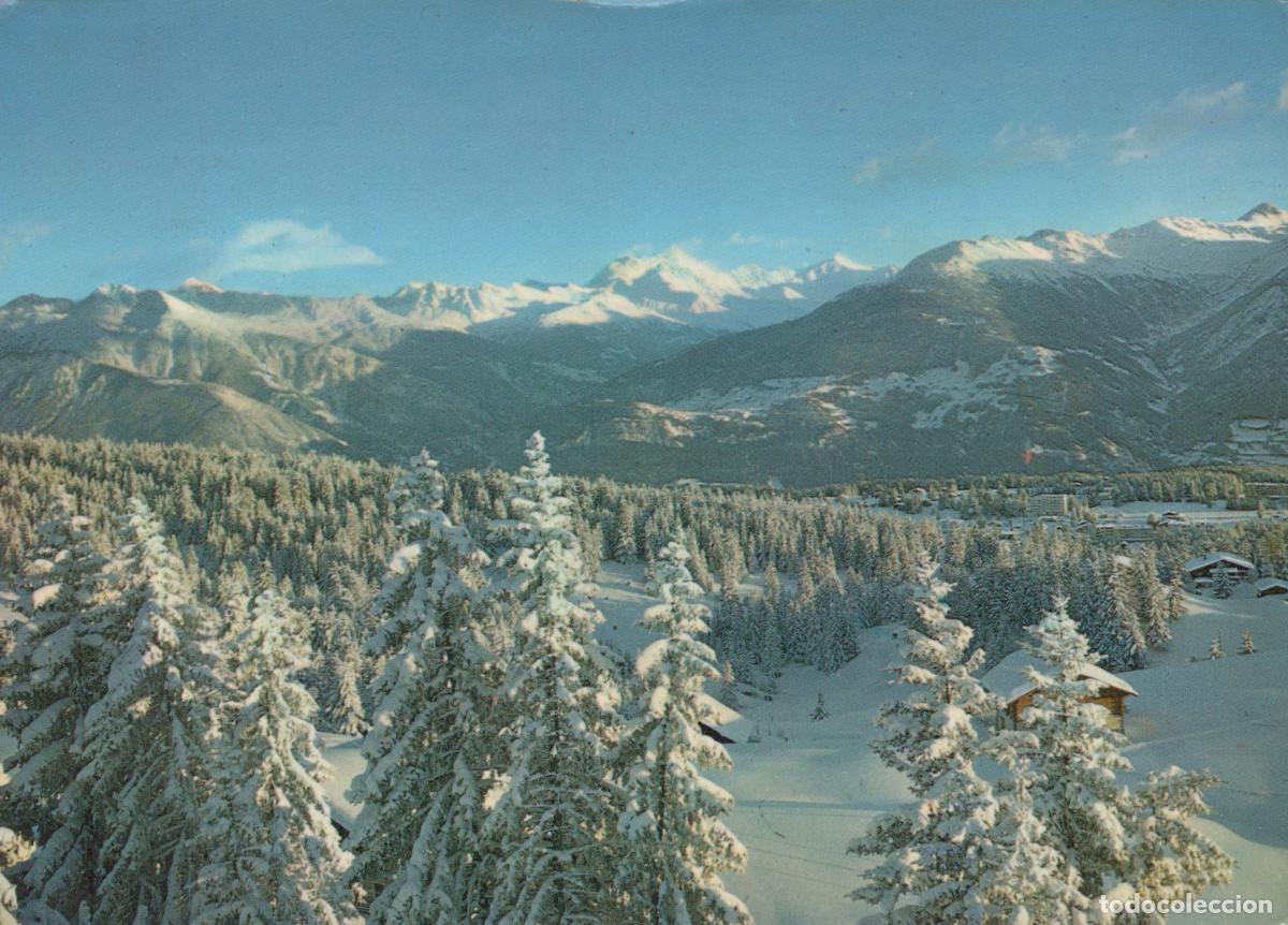 Postcards: Suisse Crans Montana Paysage Alpin Hivernal Enneig&eacute; For&ecirc;ts de Sapins *YAF854