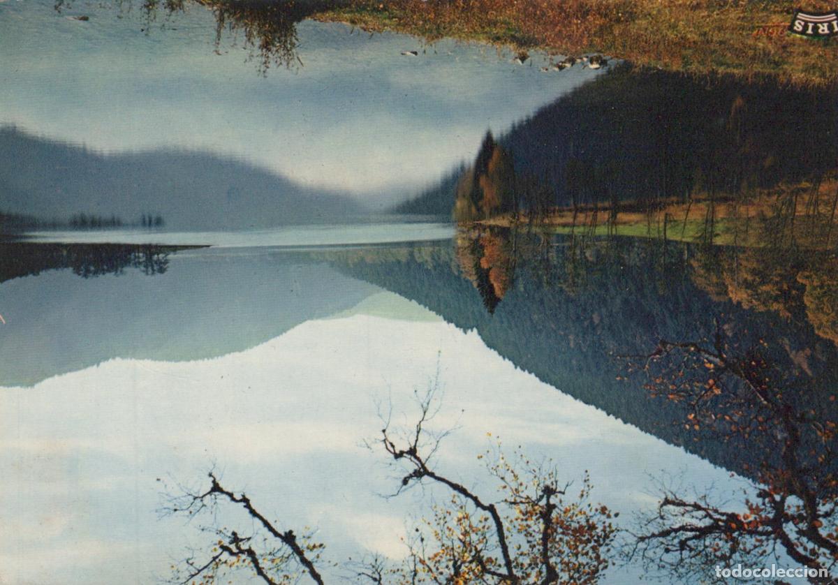 Postcards: France Longemer Lac de Paysage Reflets Invers&eacute;s Post&eacute;e *YAF863