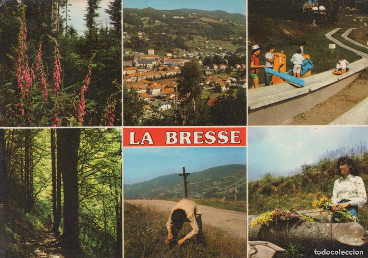 Postkarten: France La Bresse Paysages Vari&eacute;s Village For&ecirc;t et Luge D &Eacute;t&eacute; *YAF702