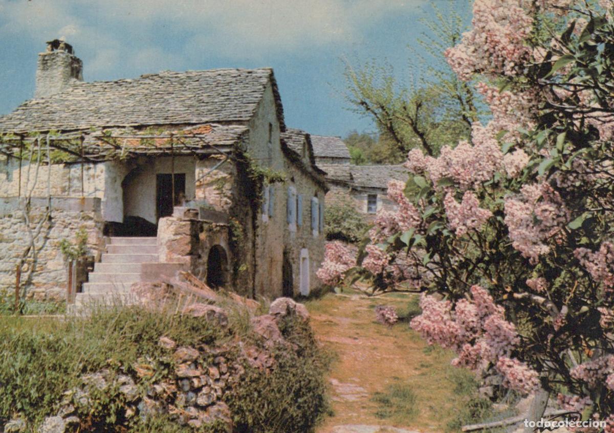 Postkarten: France Millau Maison Typique des Causses Avec Lilas *YAF711