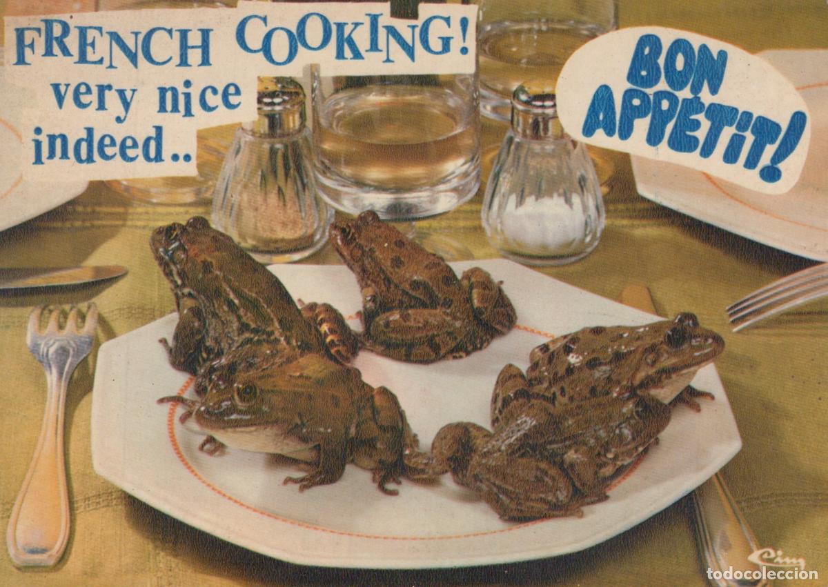 Cartoline: France M&acirc;con Macon Cuisine Grenouilles Unposted *YAF761
