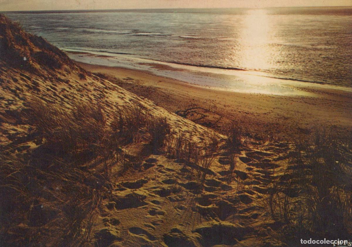 Postkarten: France C&ocirc;te Atlantique Paysage Dunes Plage Contre Jour *YAF811