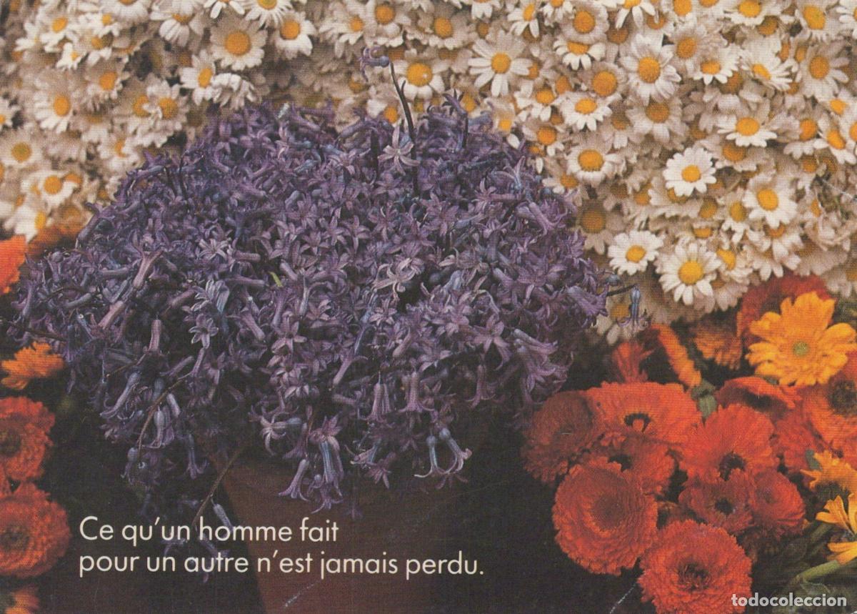 Postkarten: Flowers and Lavender Poem Card *YAF816