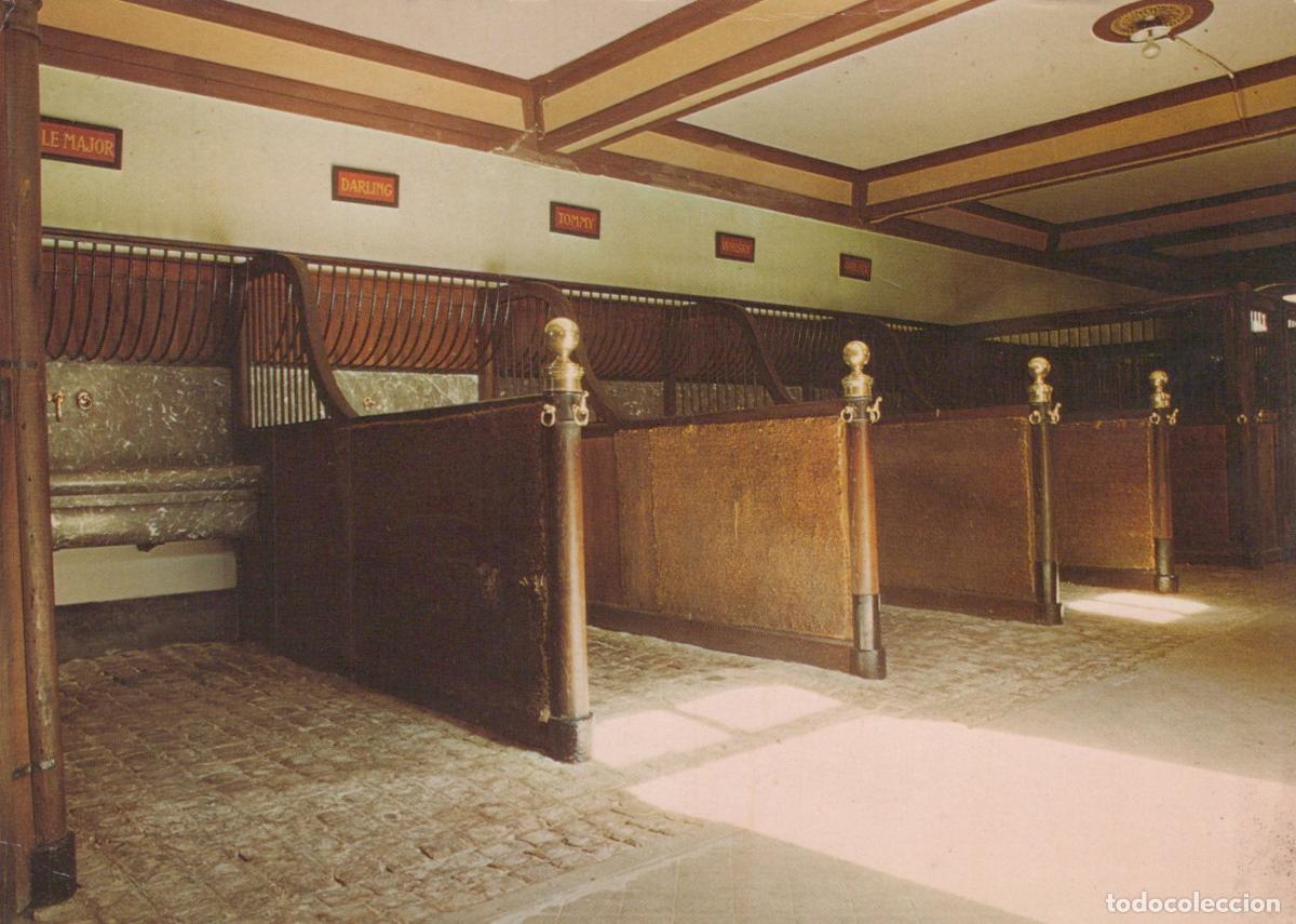 Postkarten: France Cussac Fort M&eacute;doc Ch&acirc;teau Lanessan Ecuries Int&eacute;rieur Circul&eacute; *YAF831