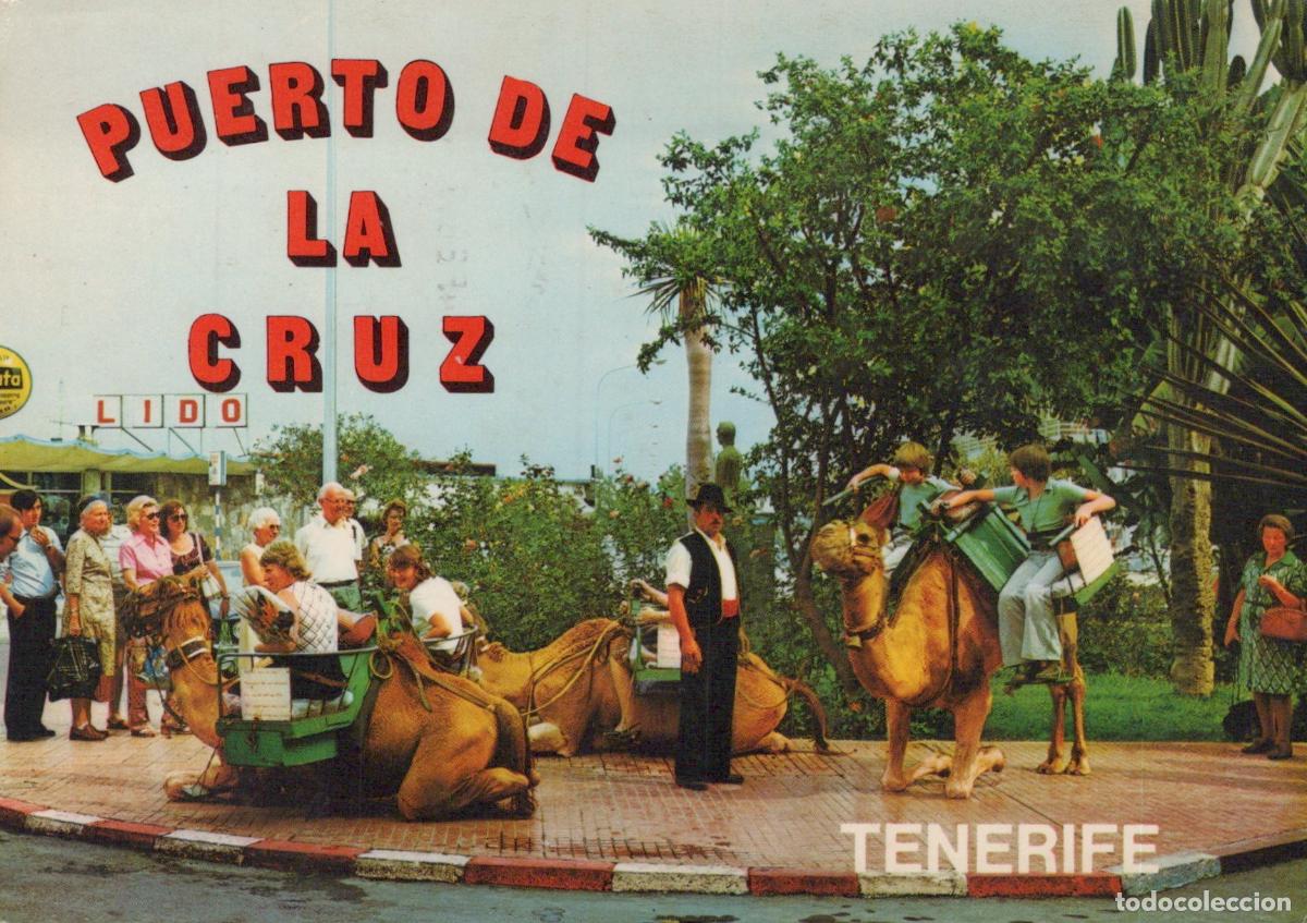 Postcards: Espa&ntilde;a Puerto de la Cruz Canarias Personas en Camello Lido *YAF886