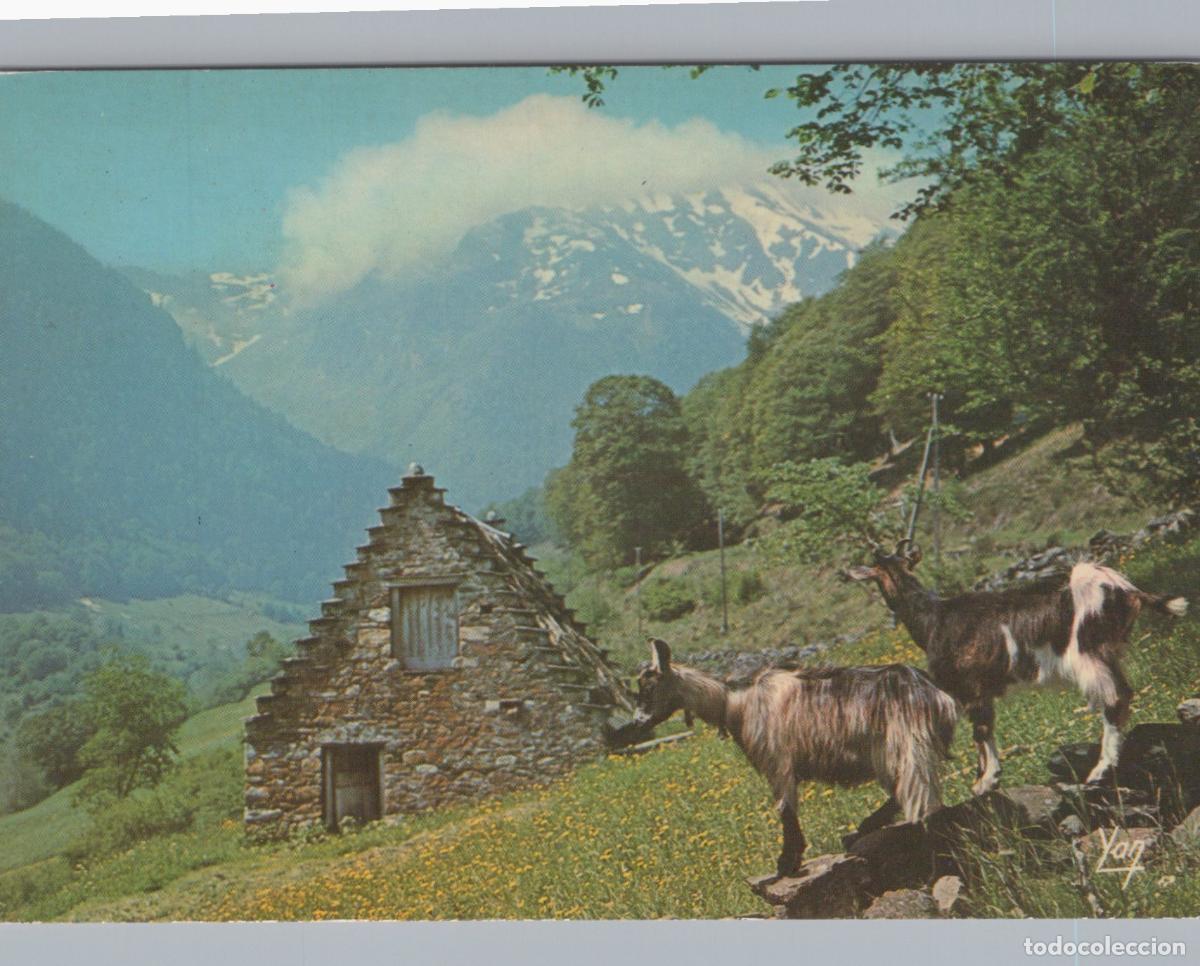 Postcards: France Lourdes Grange Montagne Ch&egrave;vres Paysage Alpin Affranchie *YAF887