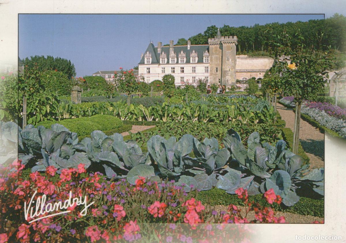 Postcards: France Villandry Ch&acirc;teau et Jardins Renaissance *YAF907