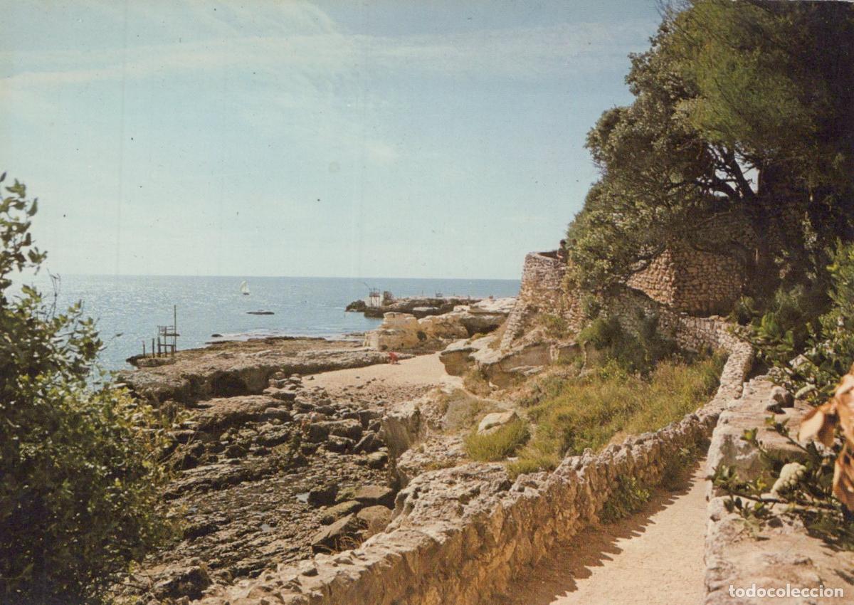Postcards: France Saint Palais sur Mer Chemin de la Corniche Paysage C&ocirc;tier *YAF930