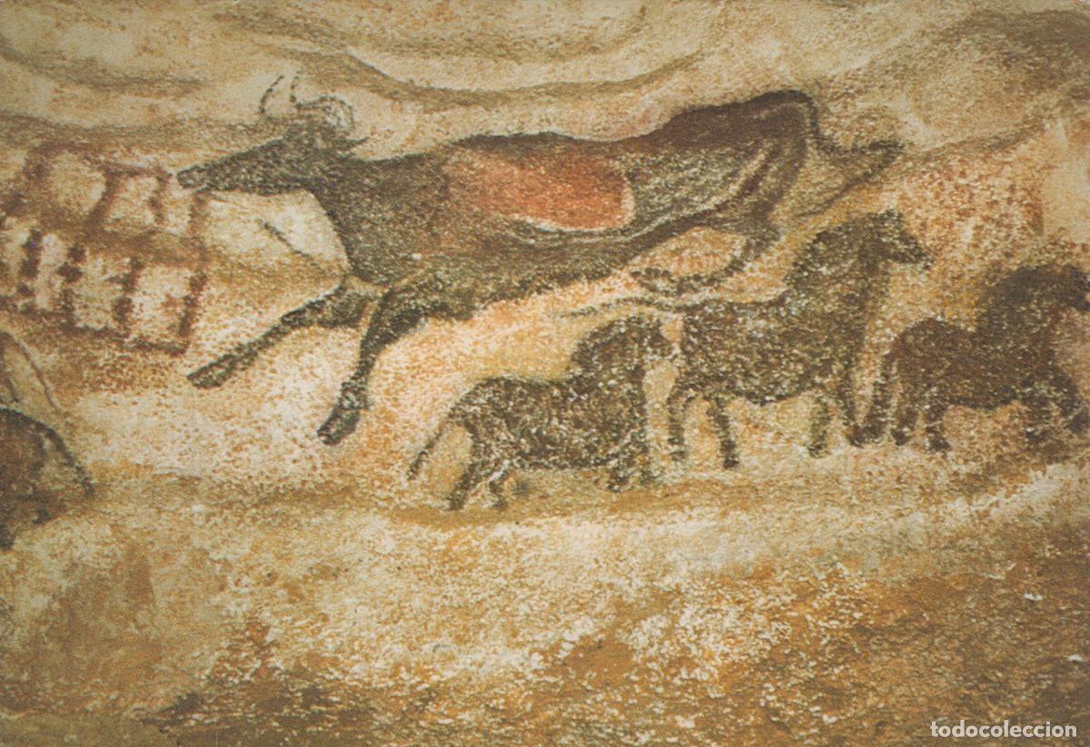 Cartoline: France Lascaux Peinture Rupestre Taureau et Chevaux Unposted *YAG008