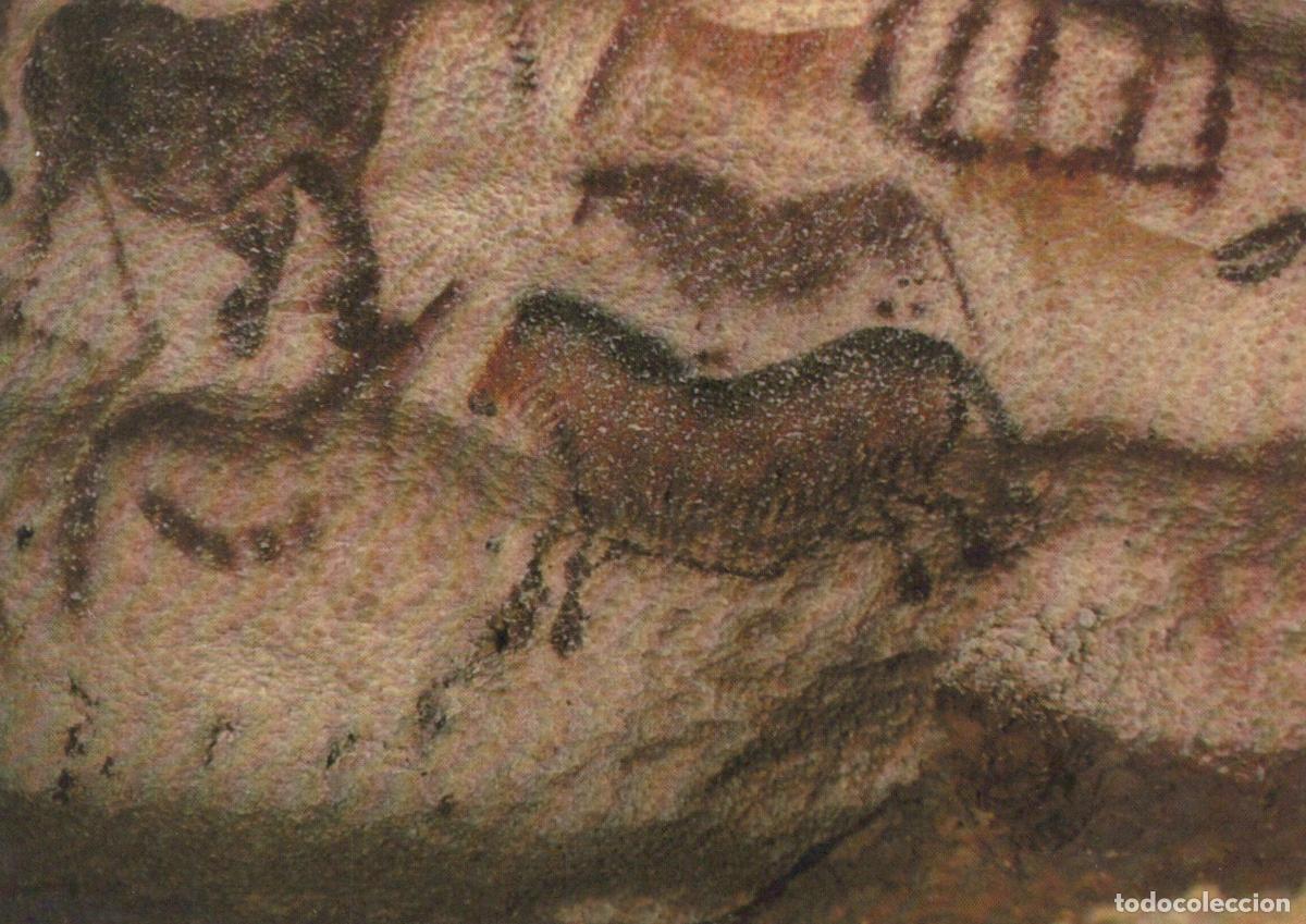 Cartoline: France Lascaux Art Pari&eacute;tal Pr&eacute;historique Unposted *YAG007