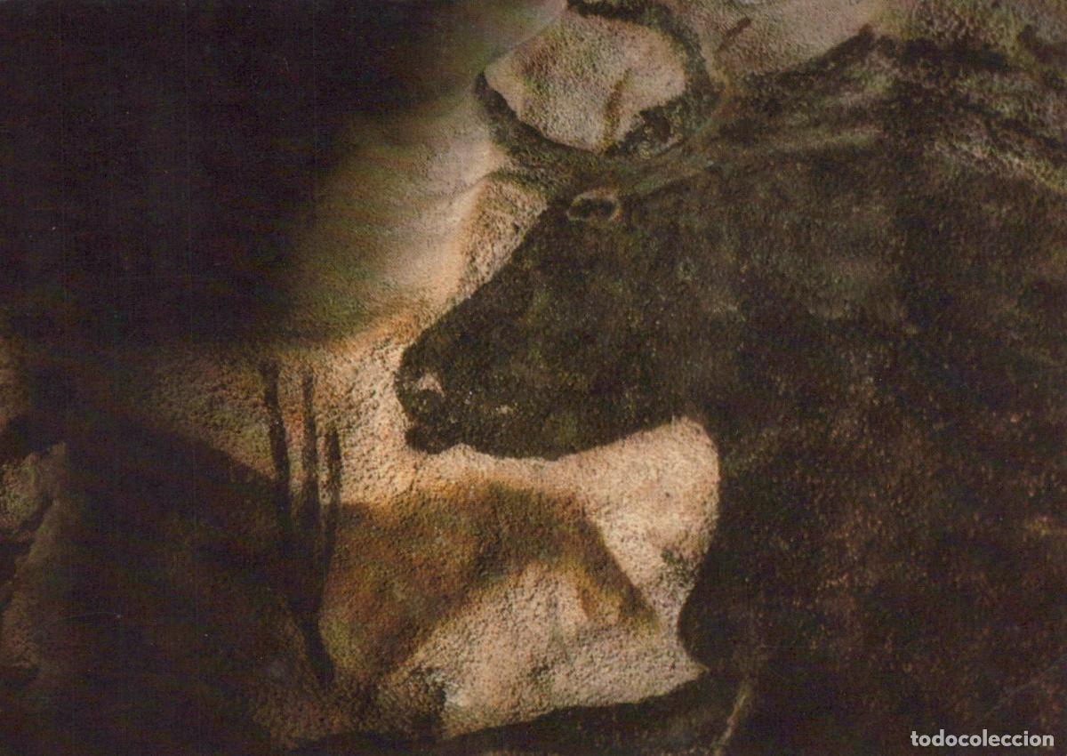 Cartoline: France Lascaux Peinture Rupestre Taureau Noir Unposted *YAG005