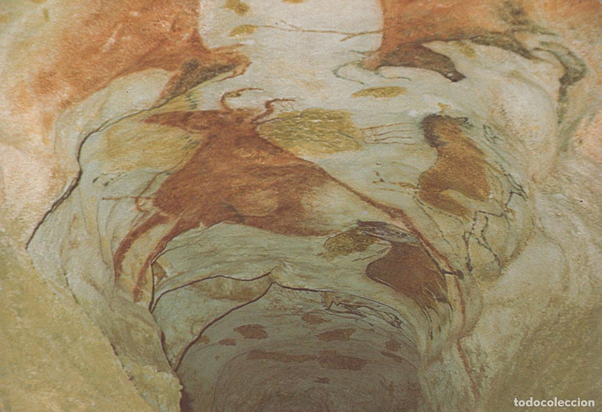 Cartoline: France Lascaux Art Grotte II Plafond Unposted *YAG012