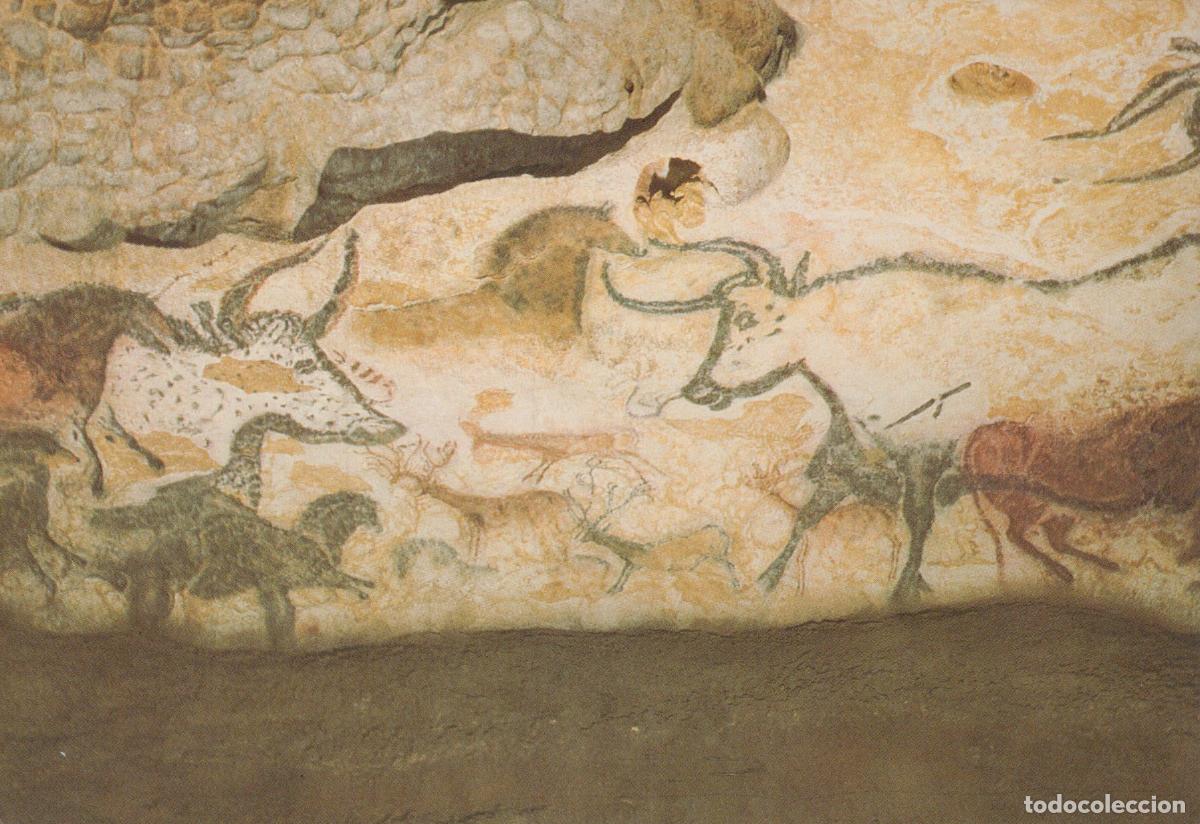 Cartoline: France Lascaux Cave Painting Prehistoric Bulls *YAG009