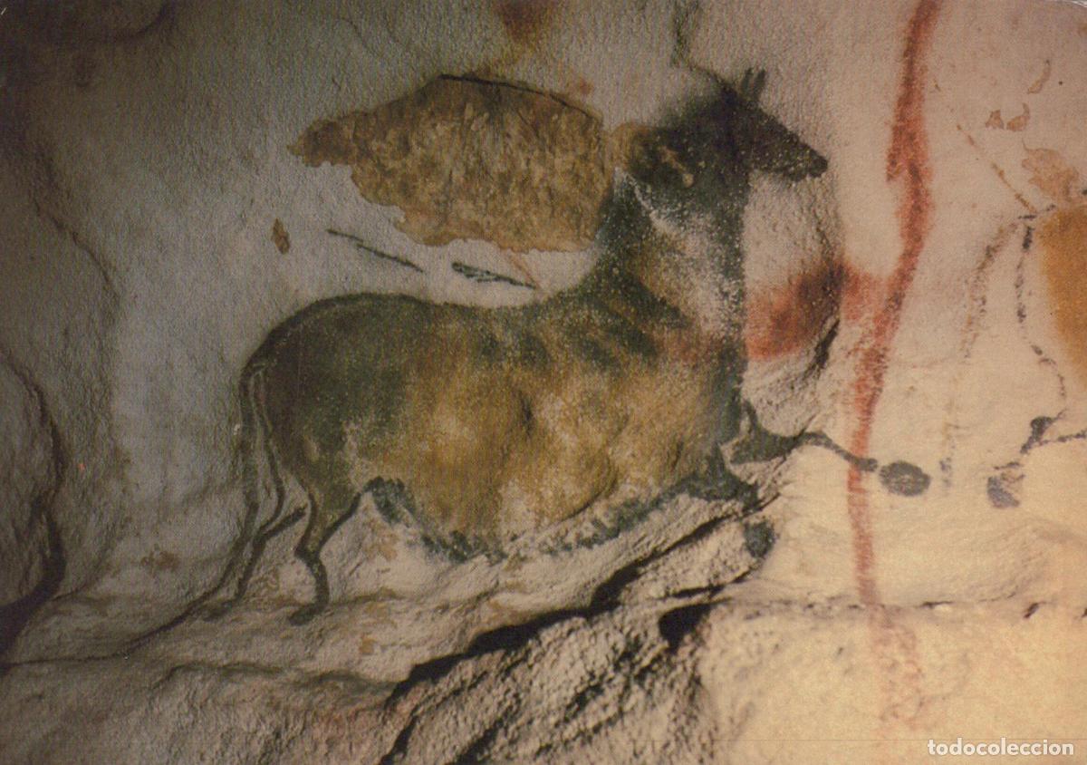 Cartoline: France Lascaux Cheval Chinois Art Pr&eacute;historique Grotte Unposted *YAG014