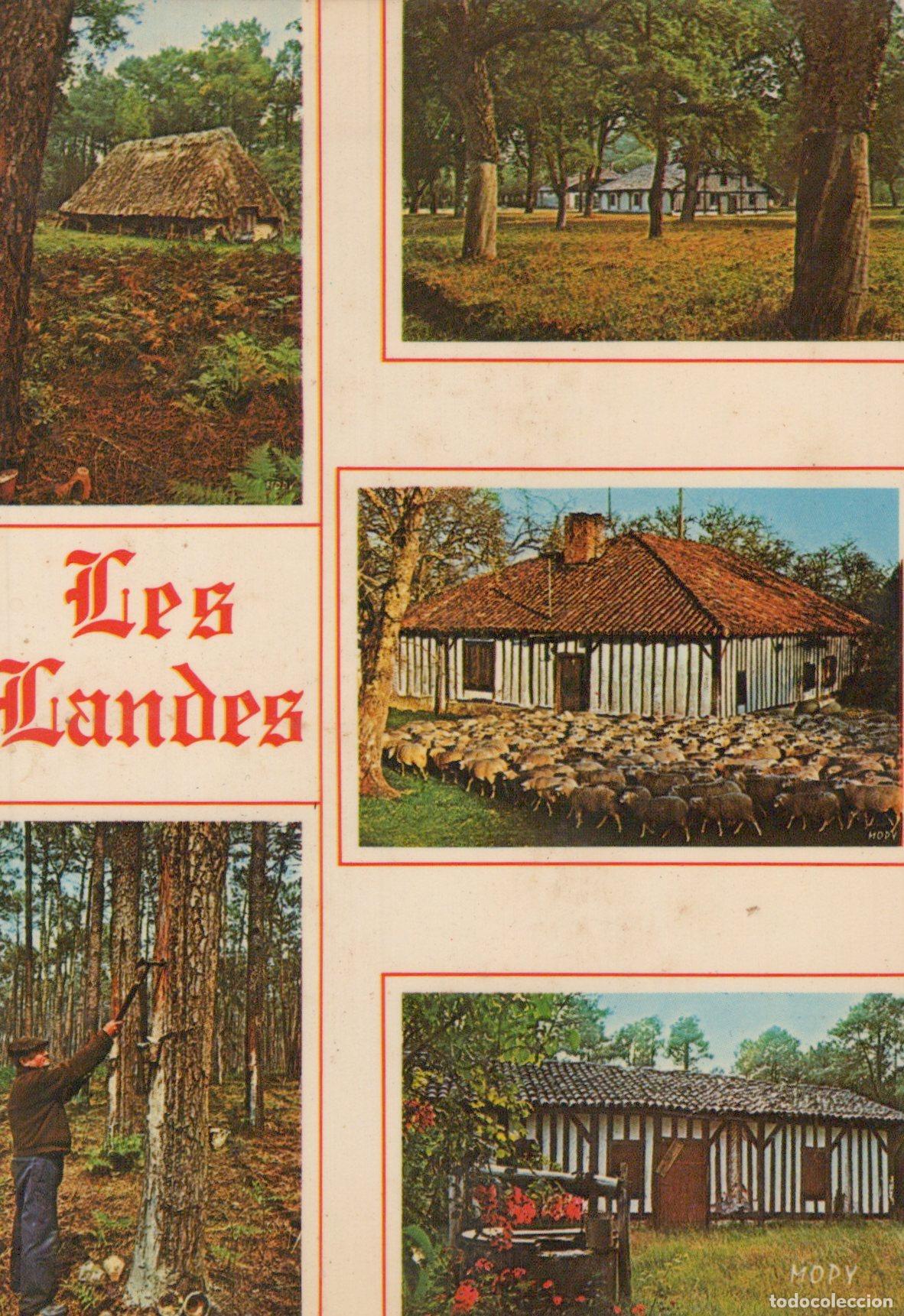 Postcards: France Les Landes Multiview *YAG032