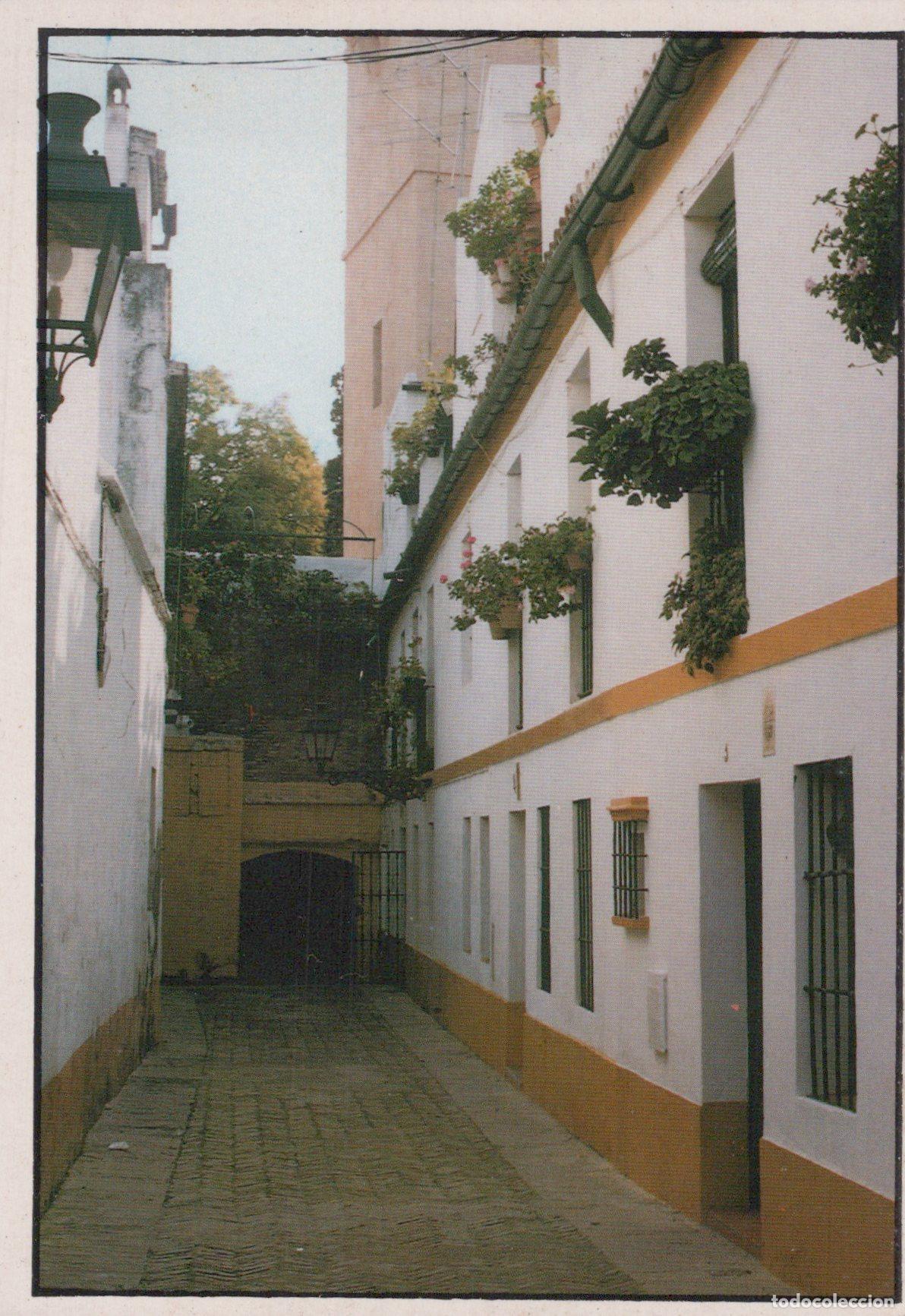 Postais: Espa&ntilde;a Sevilla Calle T&iacute;pica Casas Blancas Arquitectura Andaluza Unposted *YAG117