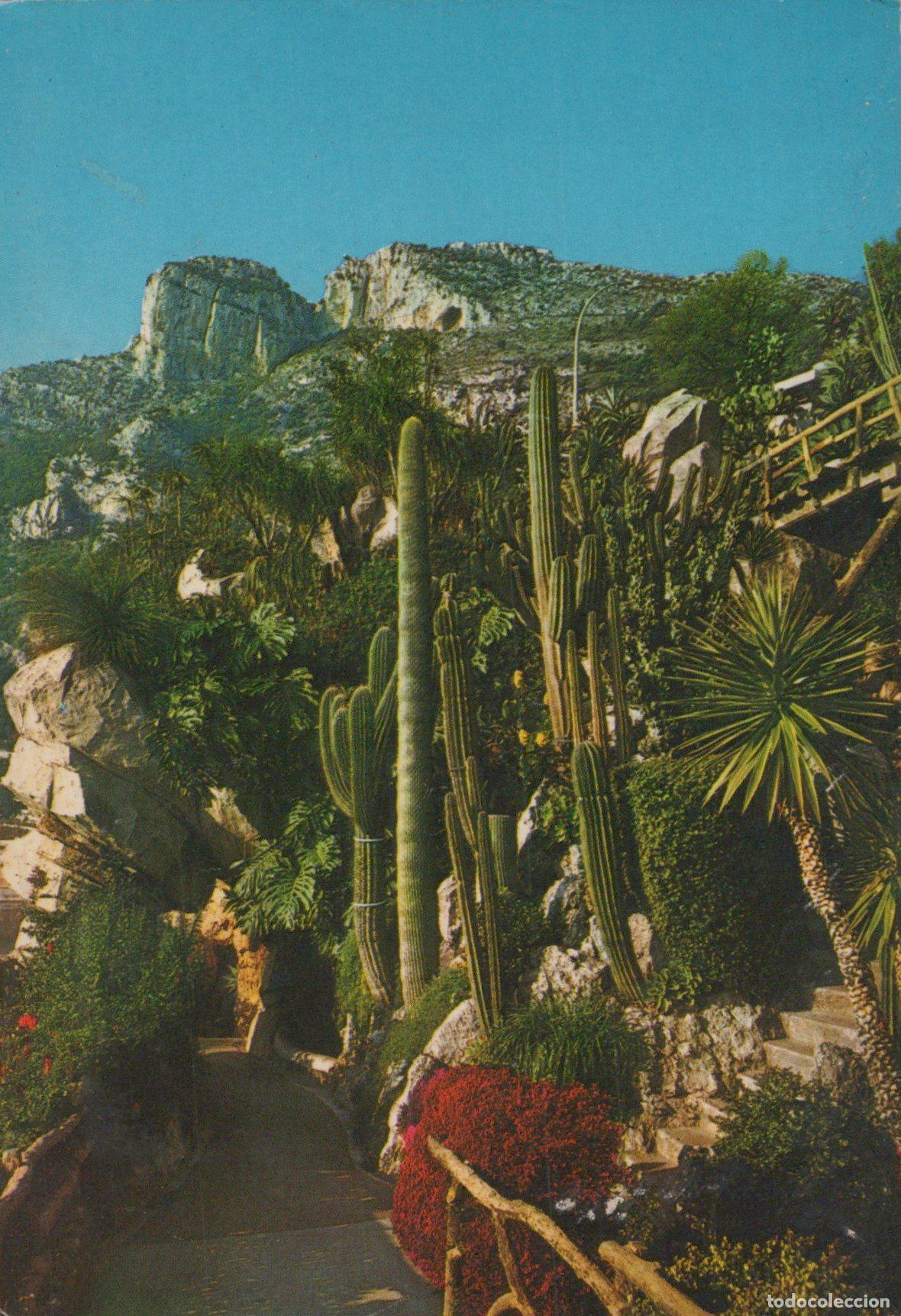 Postais: Monaco Monaco Ville Ville le Jardin Exotique Cact&eacute;es V&eacute;g&eacute;tation Unposted *YAG122