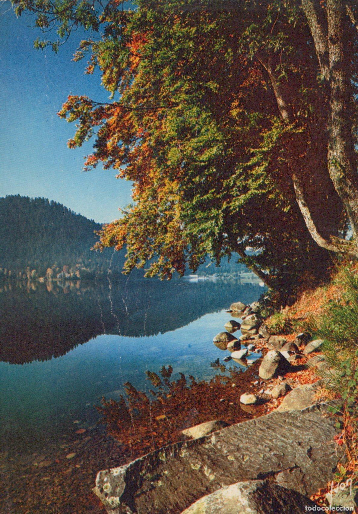 Postais: France Gerardmer Lac de G&eacute;rardmer Paysage D Automne *YAG138