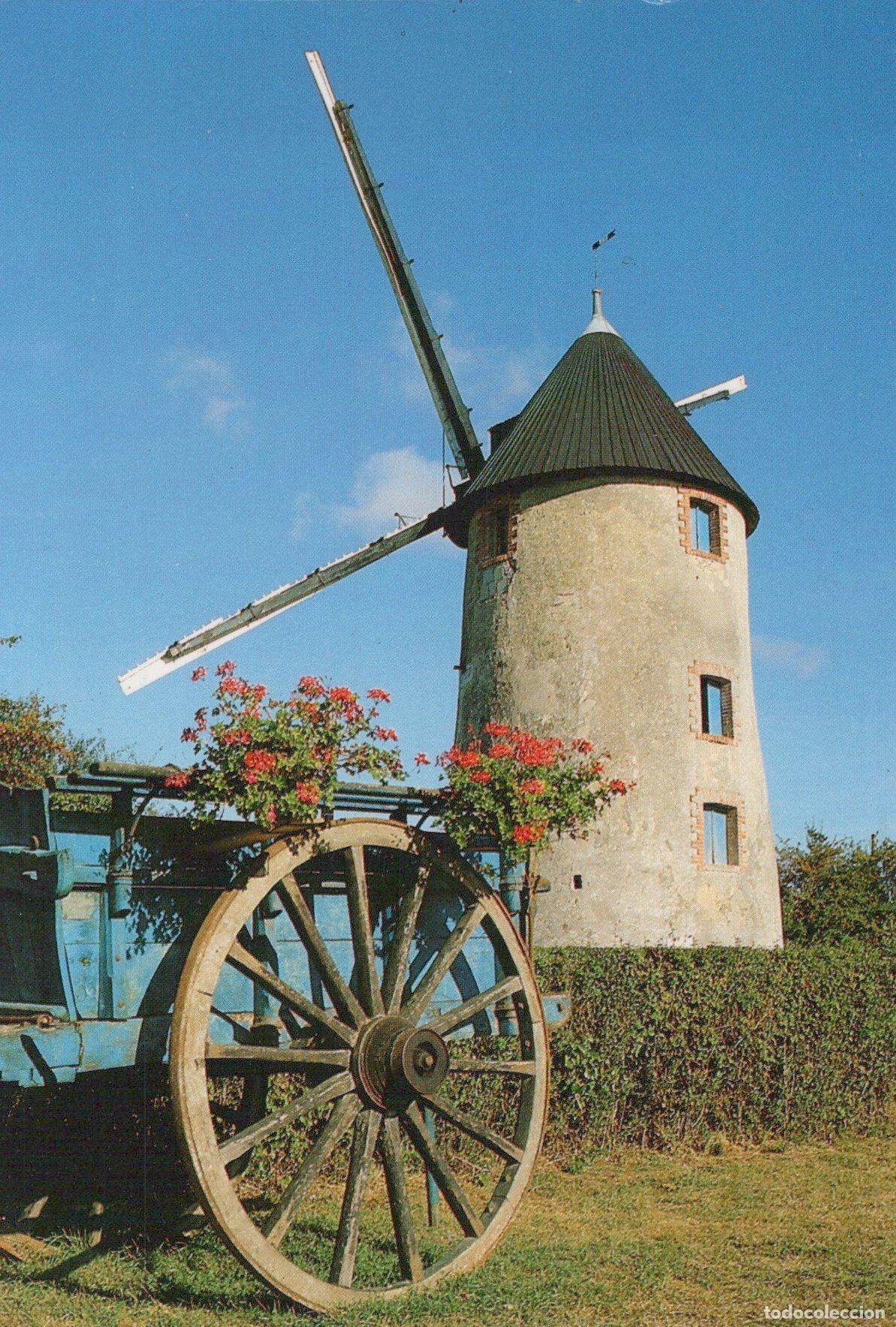Postales: France Chateauneuf Moulin &Agrave; Vent et Charrette Paysage Unposted *YAG291