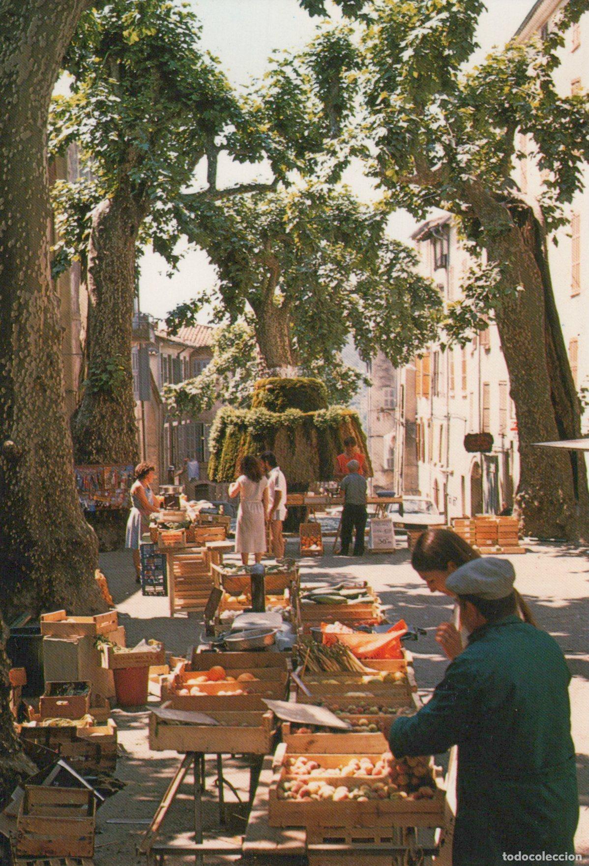 Postais: France Carpentras Market under Plane Trees *YAG307