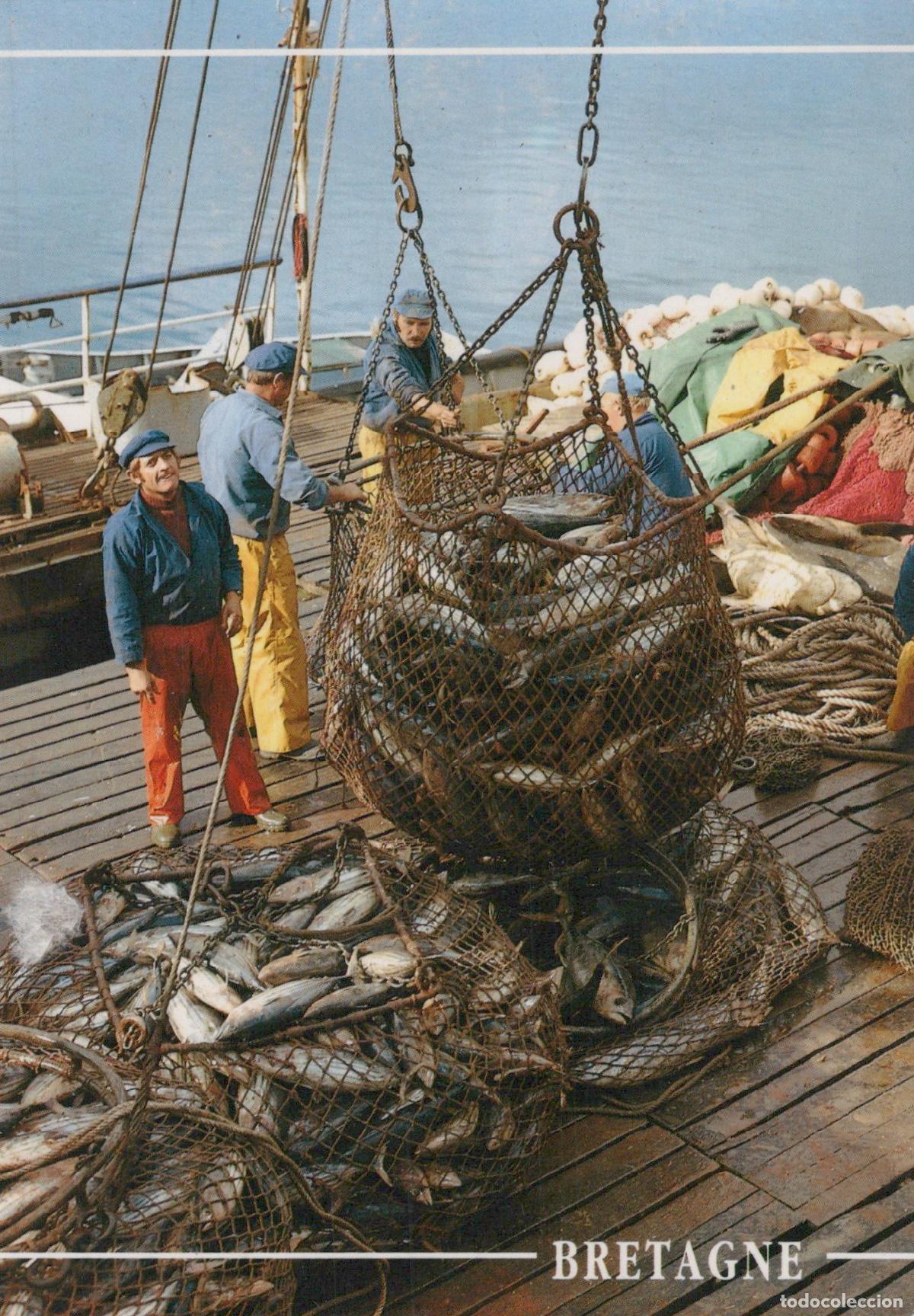 Cartes Postales: France Quimper Bretagne P&ecirc;cheurs D&eacute;chargeant Thon Unposted *YAG339