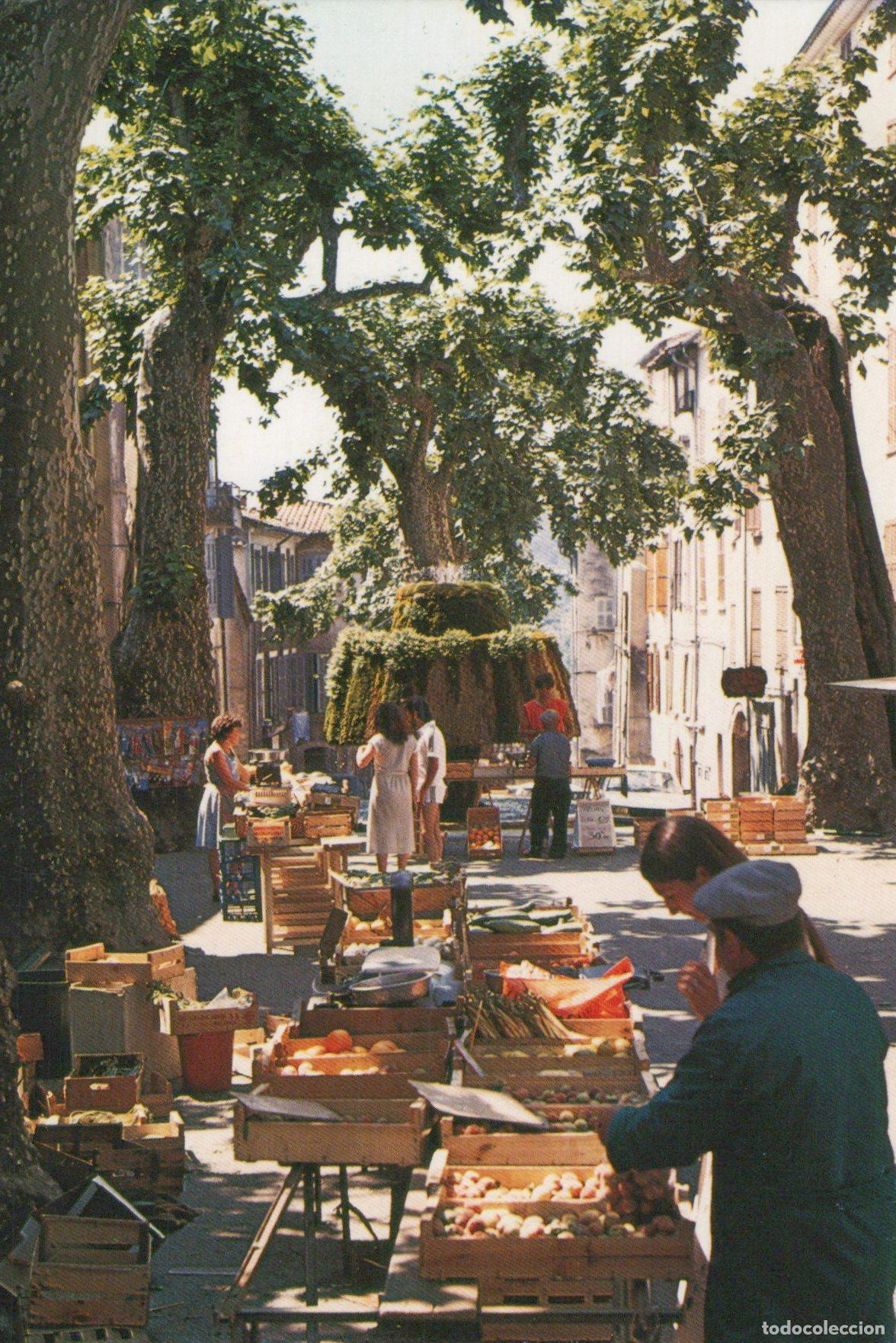 Postais: France Carpentras March&eacute; Anim&eacute; Fontaine et Platanes Unposted *YAG308