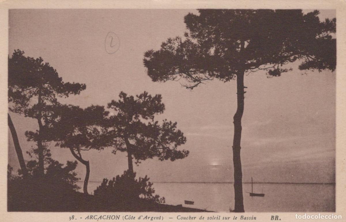 Postais: France Arcachon Coucher de Soleil sur le Bassin Unposted *YAG486