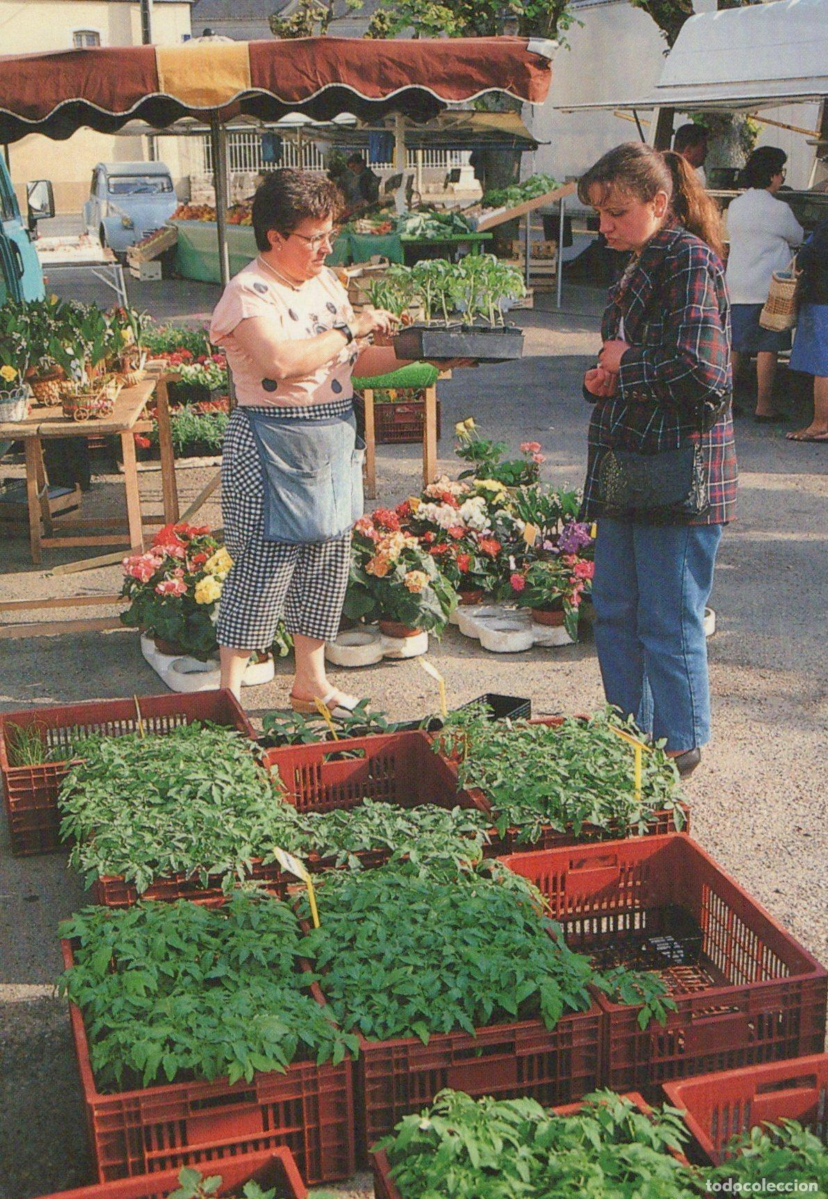 Cartes Postales: France Orgeres en Beauce March&eacute; Aux Plantes Marie Claude Unposted *YAG302