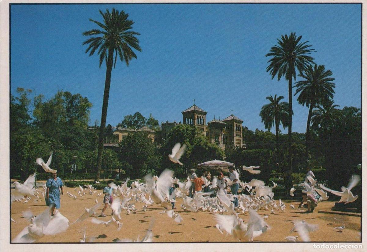 Cartes Postales: Espa&ntilde;a Sevilla Parque Mar&iacute;a Luisa Palomas Y Arquitectura Unposted *YAG516