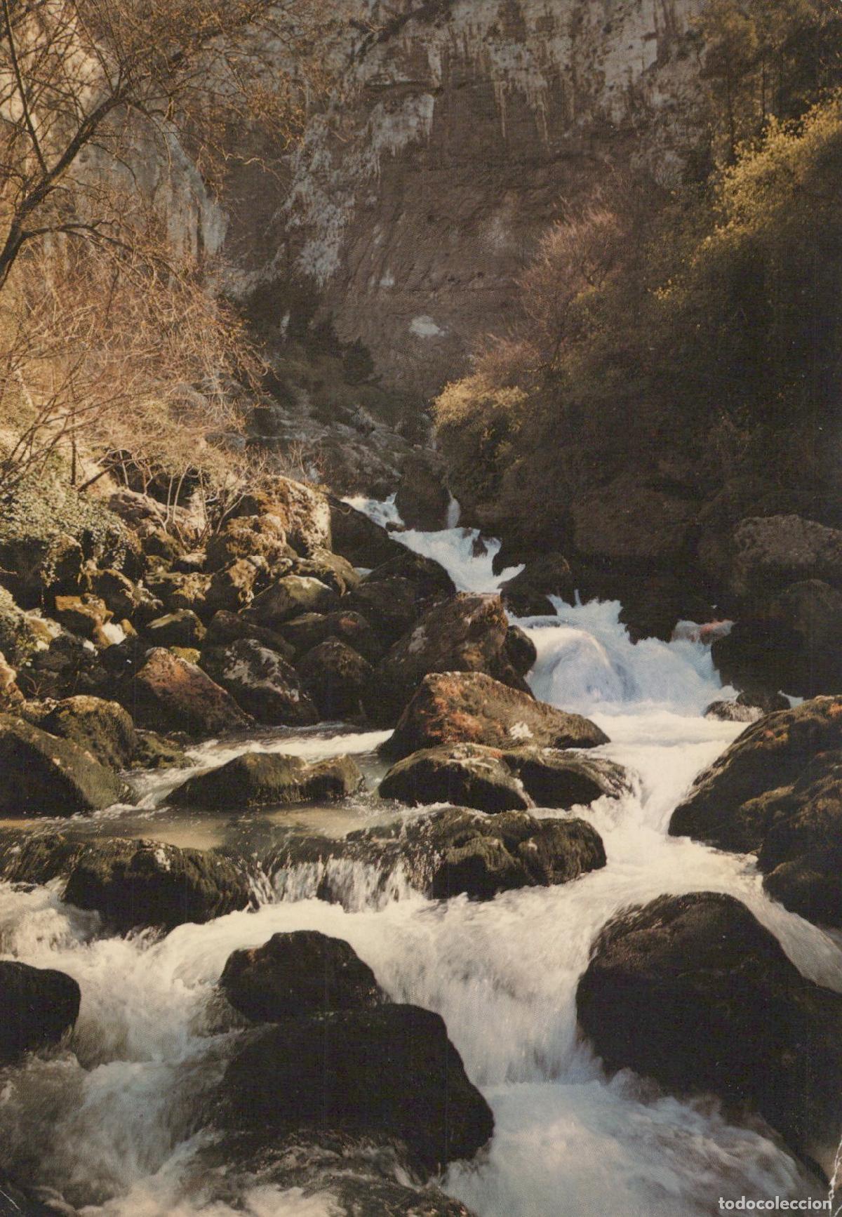 Cartoline: France Fontaine de Vaucluse Provence C&eacute;l&egrave;bres Cascades Paysage *YAG347