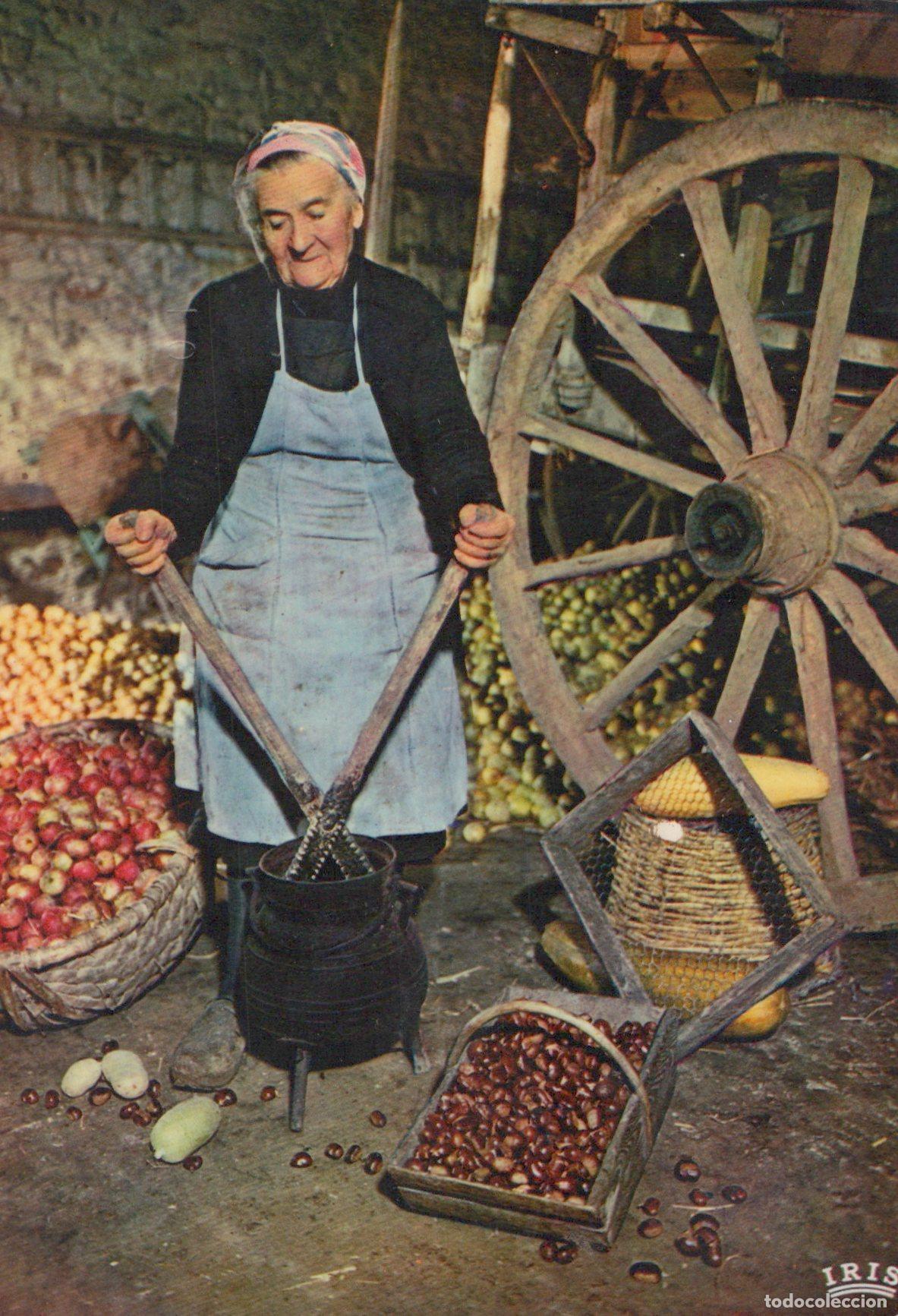 Postkarten: France Neuvic Femme Pr&eacute;parant les Ch&acirc;taignes Vie Rurale *YAG344