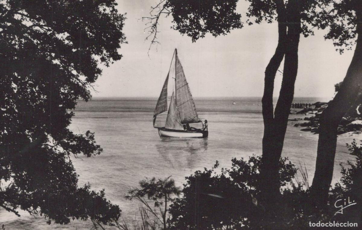 Postkarten: Ile de Noirmoutier Sailboat on Sea Coastal View framed by trees *YAG622