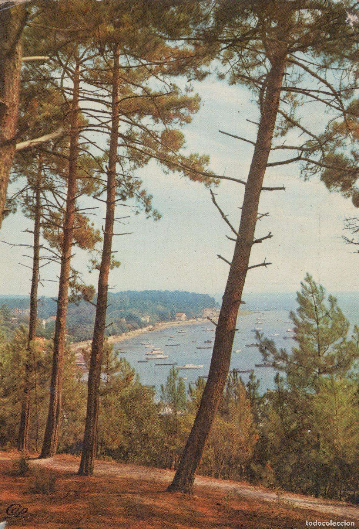 Postkarten: France Arcachon C&ocirc;te D Argent Bassin Pointe Aux Chevaux *YAG439