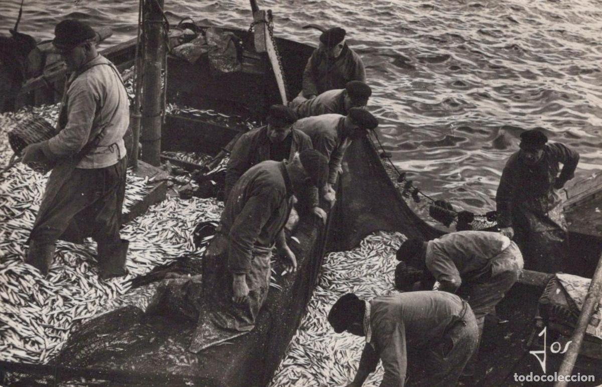 Cartoline: France Concarneau Bretagne P&ecirc;che Sprats Marins et Filet de Poissons *YAG660