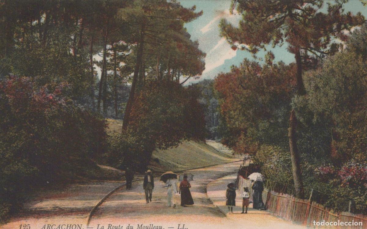 Cartoline: France Arcacchon La Route du Moulleau Paysage Forestier *YAG478