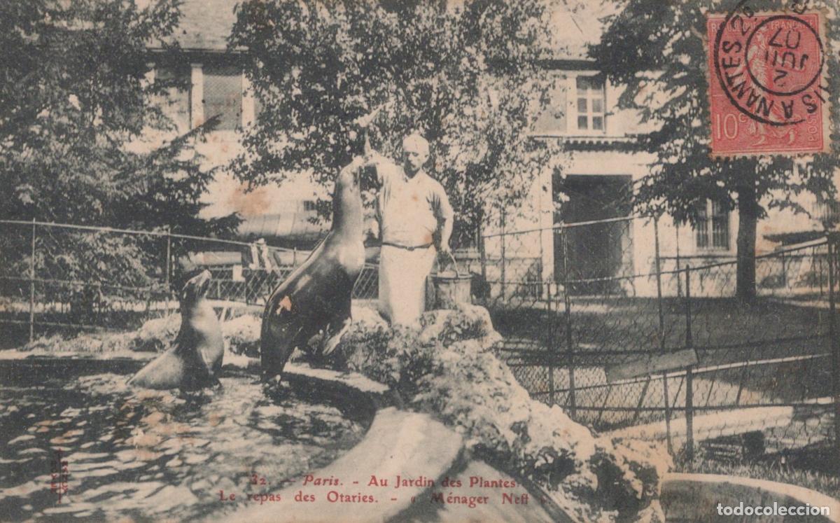 Postales: Paris Jardin des Plantes Sea Lions Feeding with Zookeeper M&eacute;nager Neff *YAG794