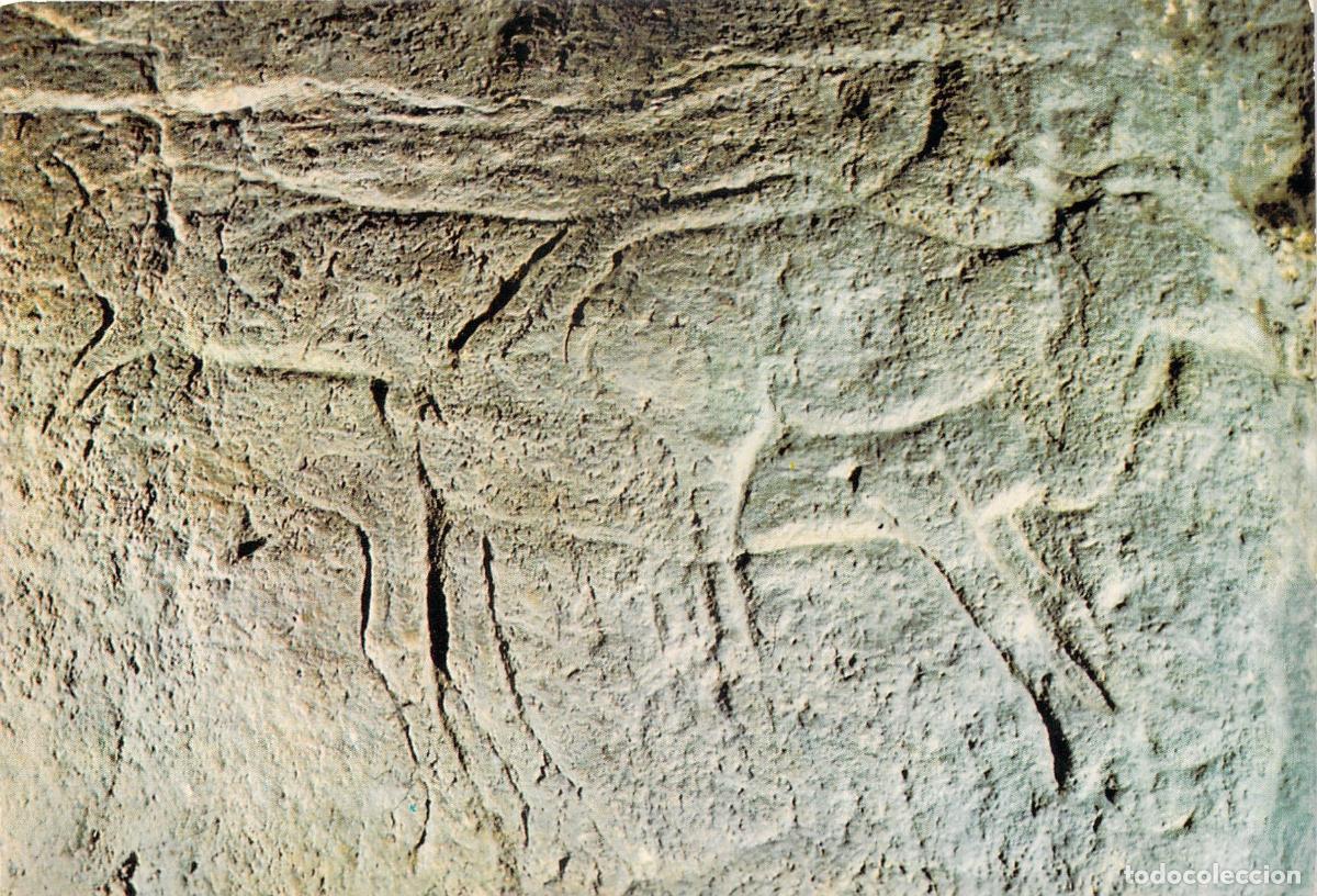 Postkarten: Postal de las Cuevas de Isturitz y Oxocelhaya con Grabado Parietal