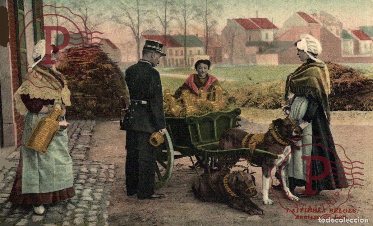 Cartoline: METIERS - BELGIQUE - Laiti&egrave;res belges - Analyse du lait BRUSSEL BRUXELLES belgique