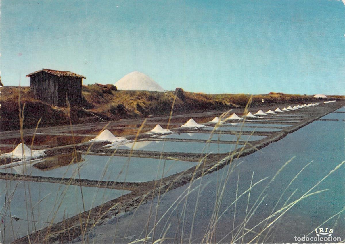 Postales: Postal de las Salinas en la Isla de R&eacute;, Francia